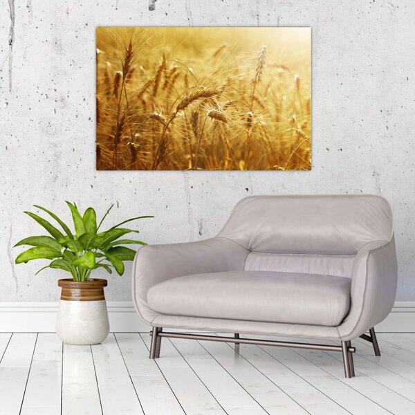 Slika - Klasovi žita (90x60 cm)