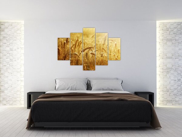 Slika - Klasovi žita (150x105 cm)