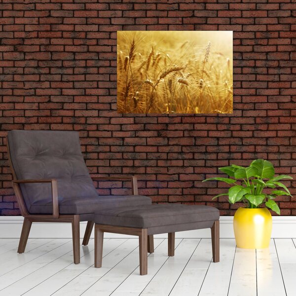 Slika - Klasovi žita (70x50 cm)