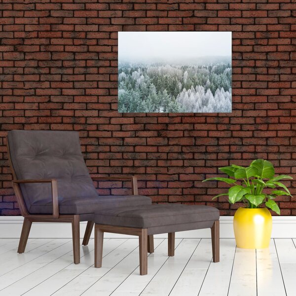 Slika - Snježni šumski vrhovi (70x50 cm)