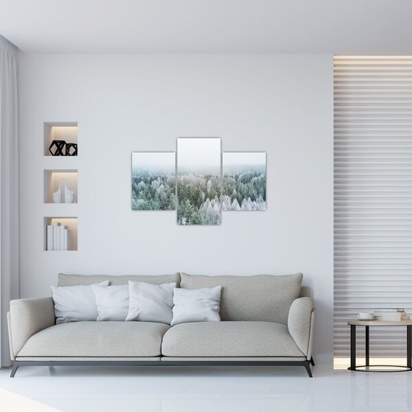 Slika - Snježni šumski vrhovi (90x60 cm)