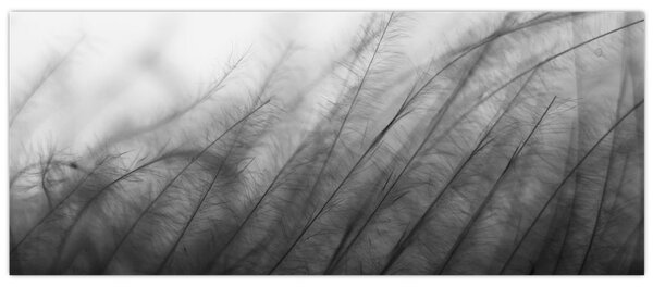 Slika - Trava na vjetru (120x50 cm)