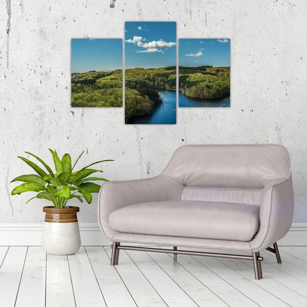 Slika - Jezero u šumi (90x60 cm)