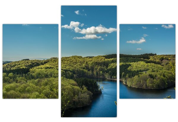 Slika - Jezero u šumi (90x60 cm)