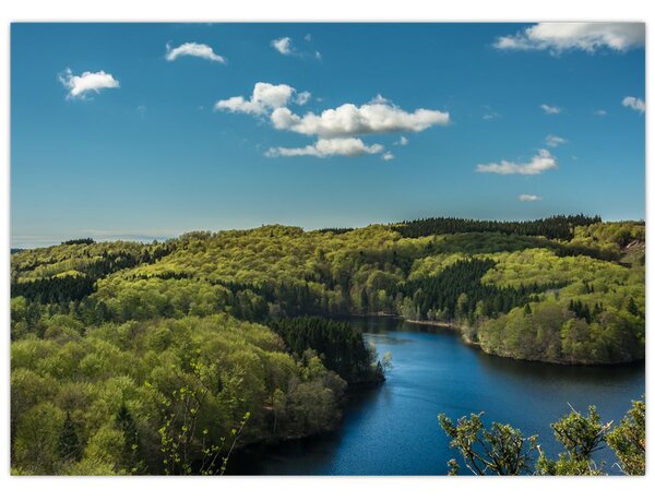 Slika - Jezero u šumi (70x50 cm)