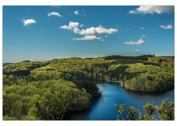 Slika - Jezero u šumi (90x60 cm)