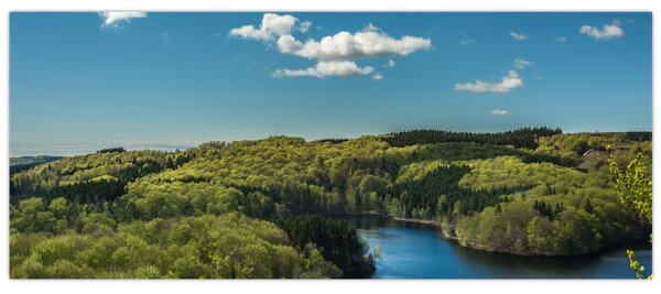 Slika - Jezero u šumi (120x50 cm)