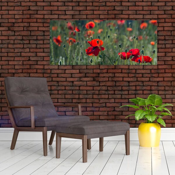 Slika - Livada s makom (120x50 cm)