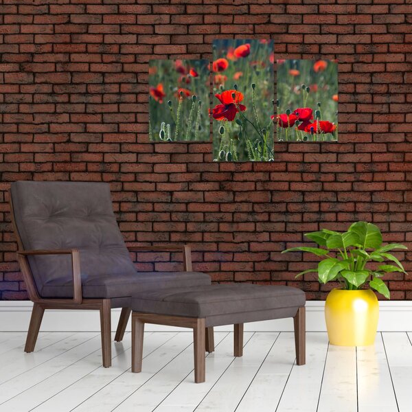 Slika - Livada s makom (90x60 cm)