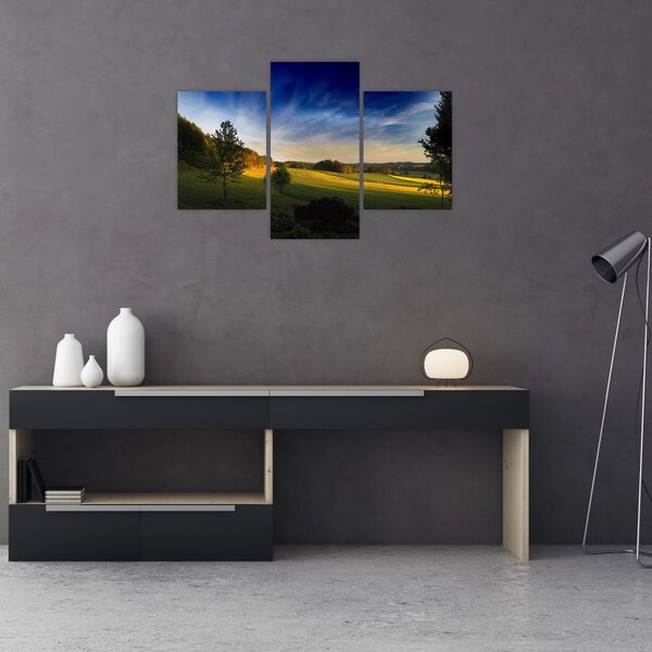 Slika - Planinska livada (90x60 cm)