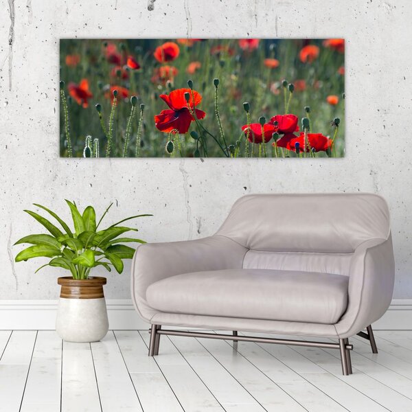 Slika - Livada s makom (120x50 cm)