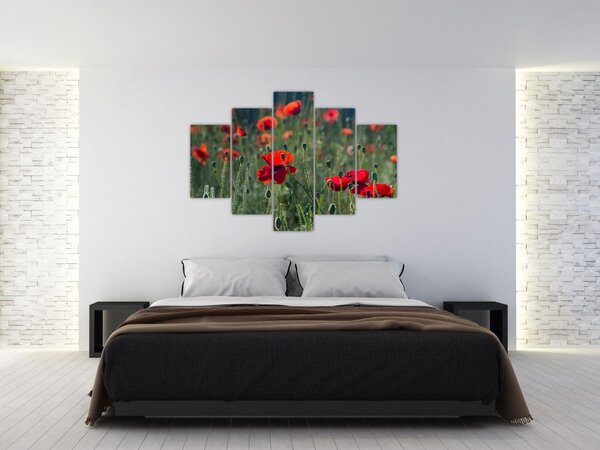 Slika - Livada s makom (150x105 cm)