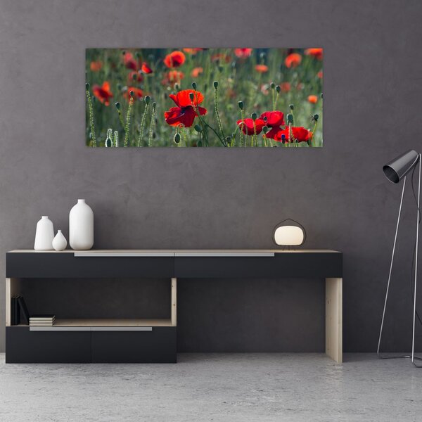 Slika - Livada s makom (120x50 cm)