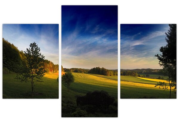 Slika - Planinska livada (90x60 cm)