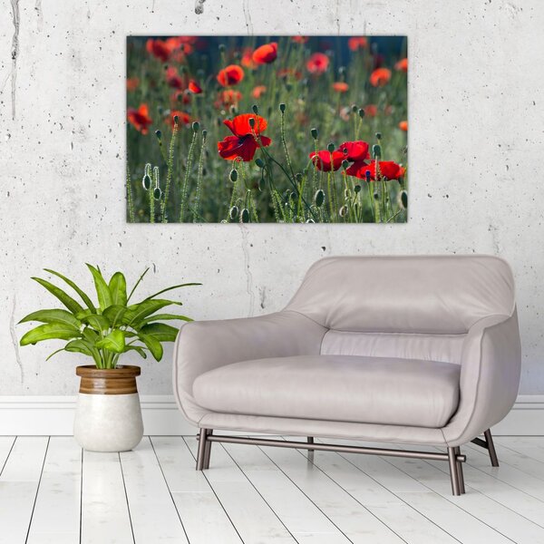 Slika - Livada s makom (90x60 cm)