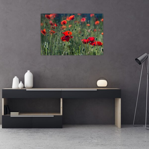 Slika - Livada s makom (90x60 cm)