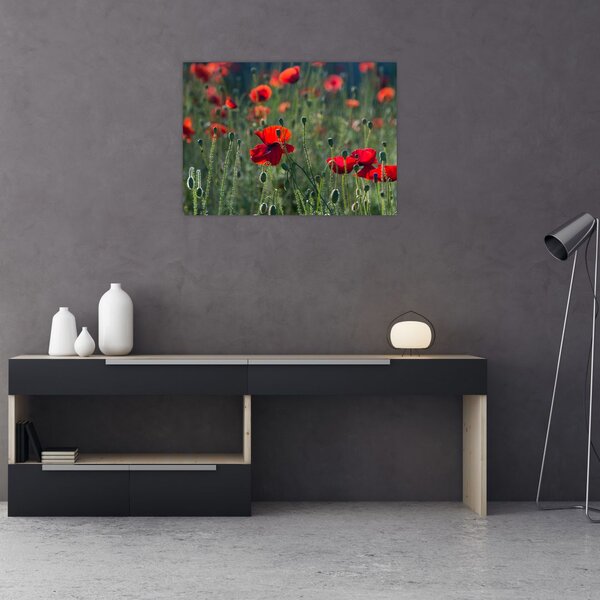 Slika - Livada s makom (70x50 cm)