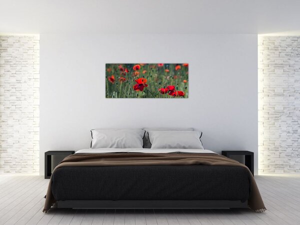 Slika - Livada s makom (120x50 cm)
