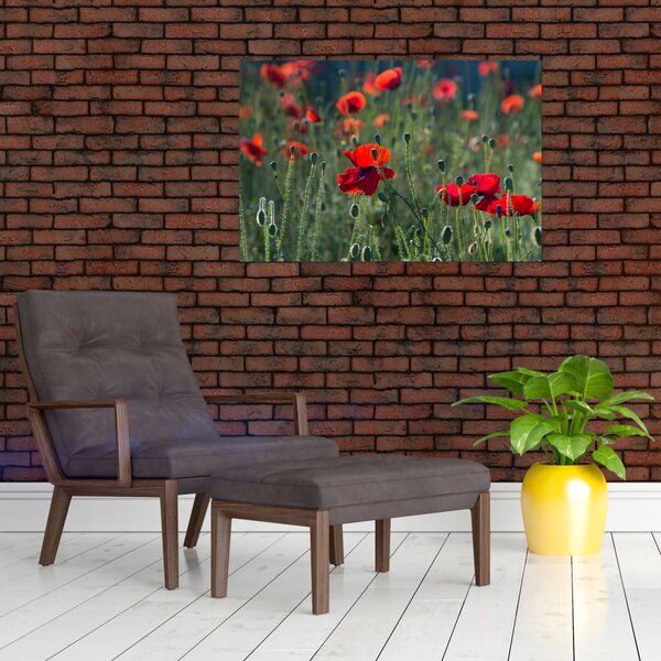 Slika - Livada s makom (90x60 cm)