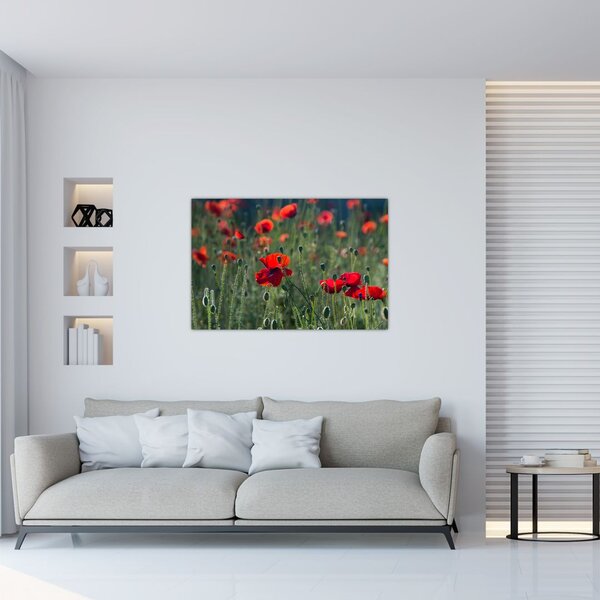 Slika - Livada s makom (90x60 cm)