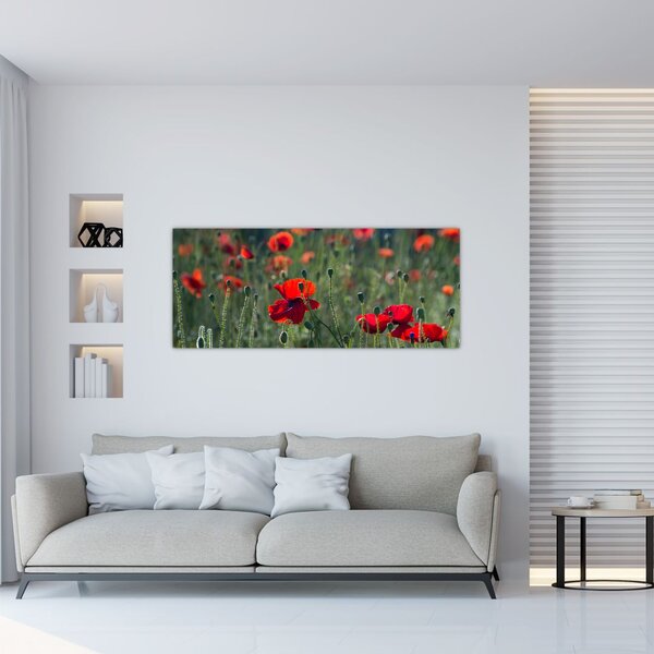 Slika - Livada s makom (120x50 cm)
