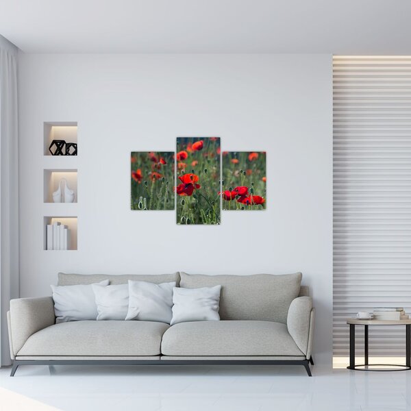 Slika - Livada s makom (90x60 cm)
