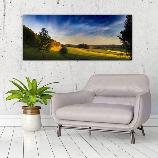 Slika - Planinska livada (120x50 cm)