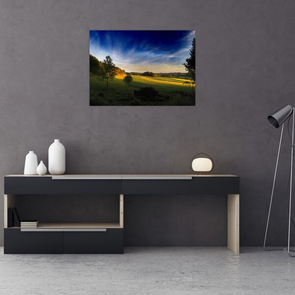 Slika - Planinska livada (70x50 cm)