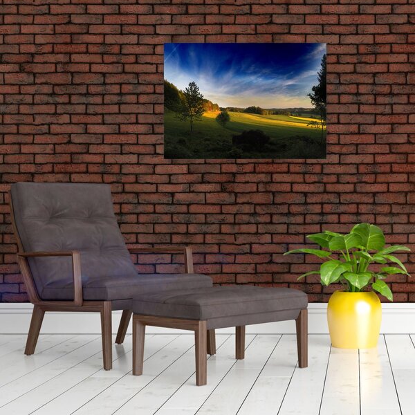 Slika - Planinska livada (70x50 cm)