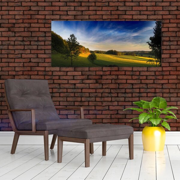 Slika - Planinska livada (120x50 cm)