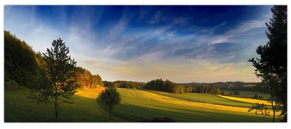 Slika - Planinska livada (120x50 cm)