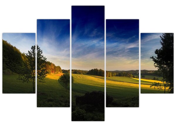 Slika - Planinska livada (150x105 cm)