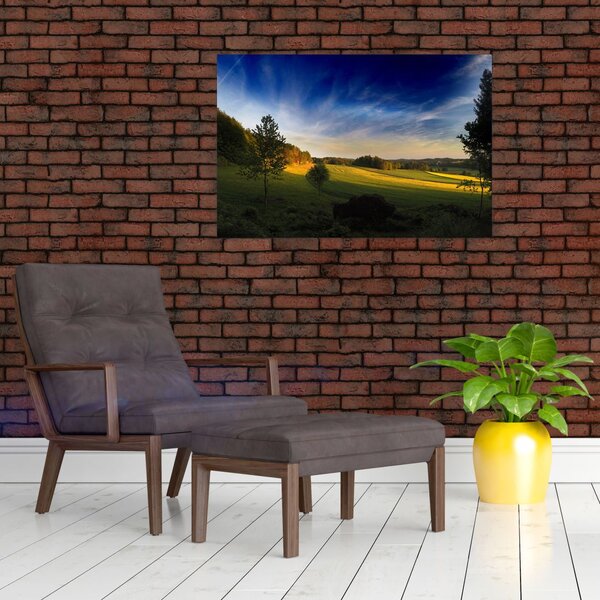 Slika - Planinska livada (90x60 cm)