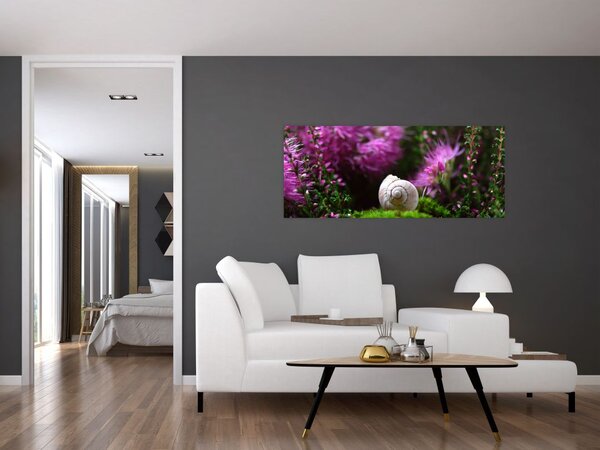 Slika - Puževa školjka (120x50 cm)