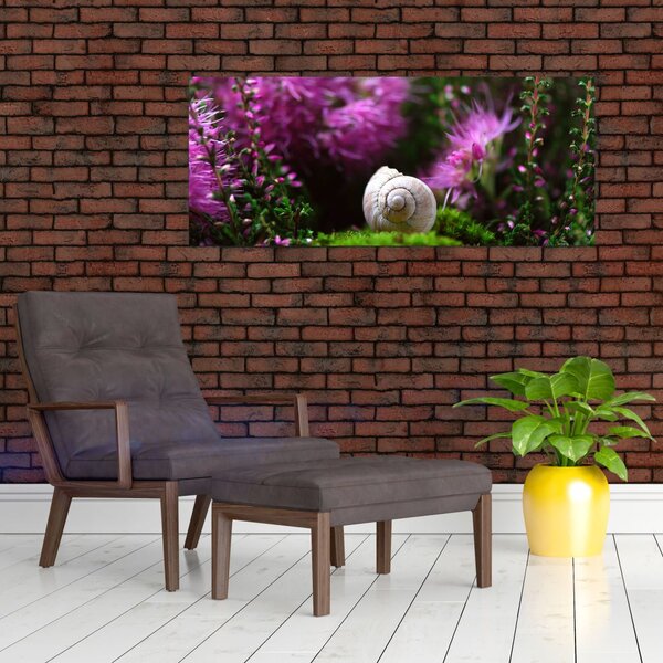 Slika - Puževa školjka (120x50 cm)