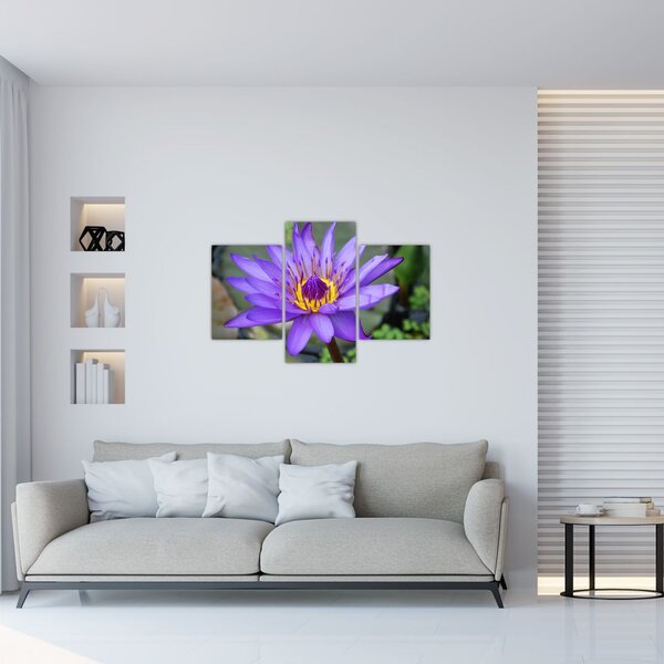 Slika - Ljubičasti cvijet (90x60 cm)