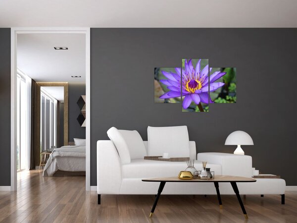 Slika - Ljubičasti cvijet (90x60 cm)