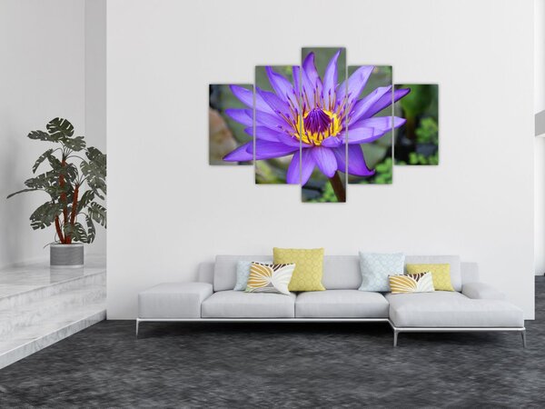 Slika - Ljubičasti cvijet (150x105 cm)