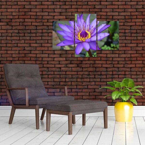 Slika - Ljubičasti cvijet (90x60 cm)