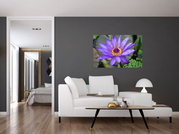 Slika - Ljubičasti cvijet (90x60 cm)