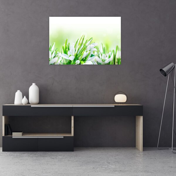 Slika - Visibabe (90x60 cm)