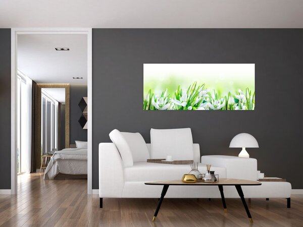 Slika - Visibabe (120x50 cm)