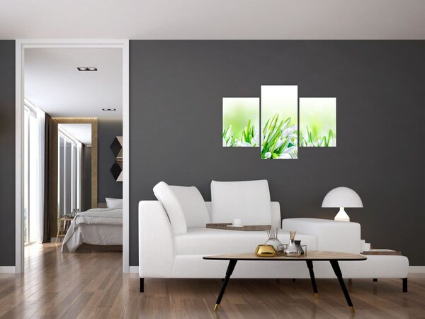 Slika - Visibabe (90x60 cm)