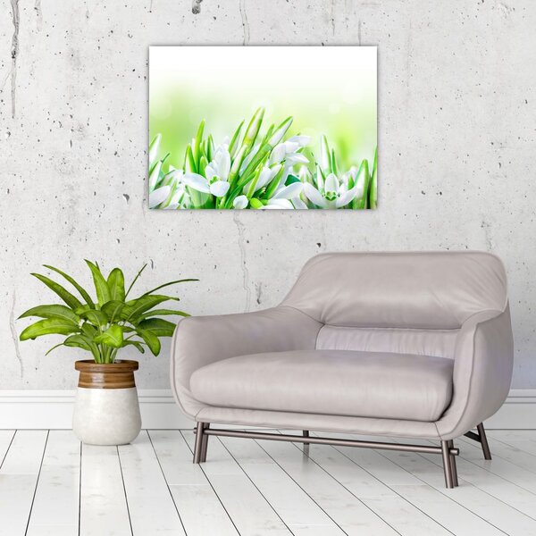 Slika - Visibabe (70x50 cm)