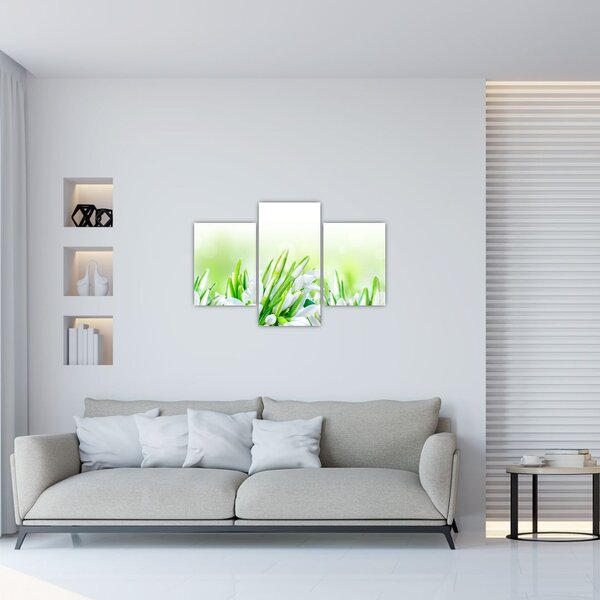 Slika - Visibabe (90x60 cm)