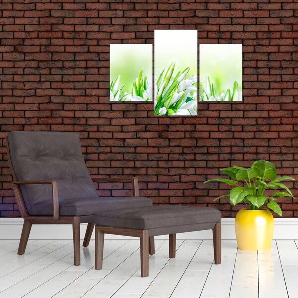 Slika - Visibabe (90x60 cm)