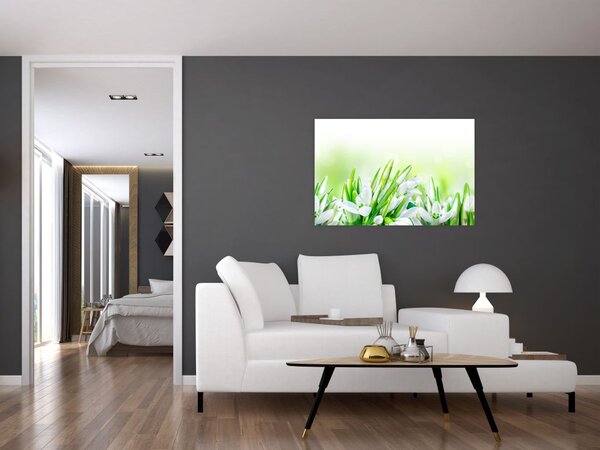 Slika - Visibabe (90x60 cm)