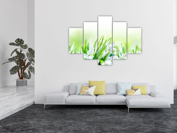 Slika - Visibabe (150x105 cm)