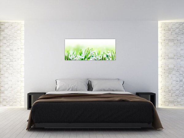 Slika - Visibabe (120x50 cm)