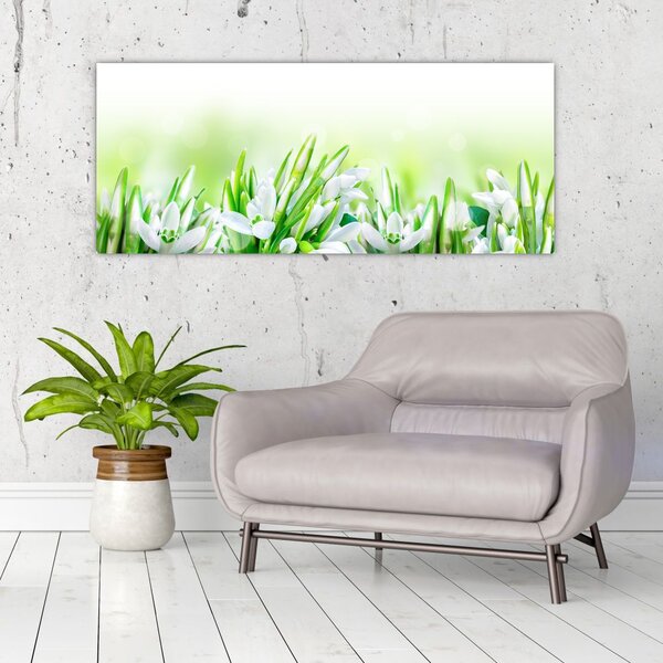 Slika - Visibabe (120x50 cm)